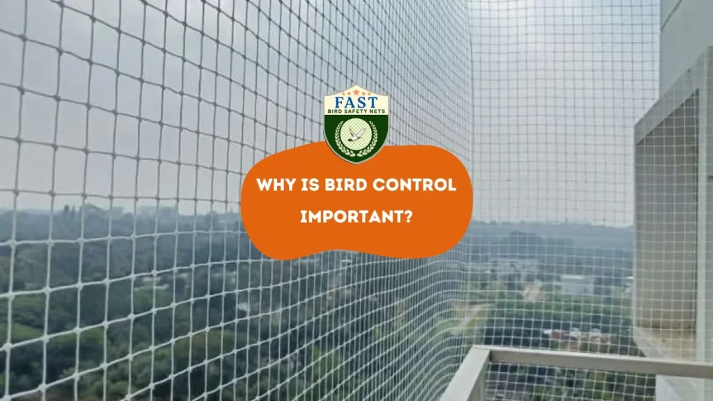 Why is bird control important?