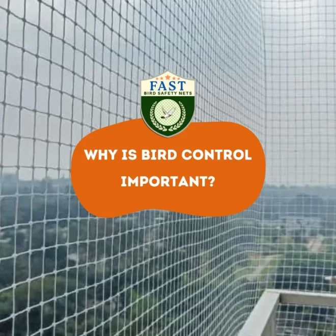 Why is bird control important?