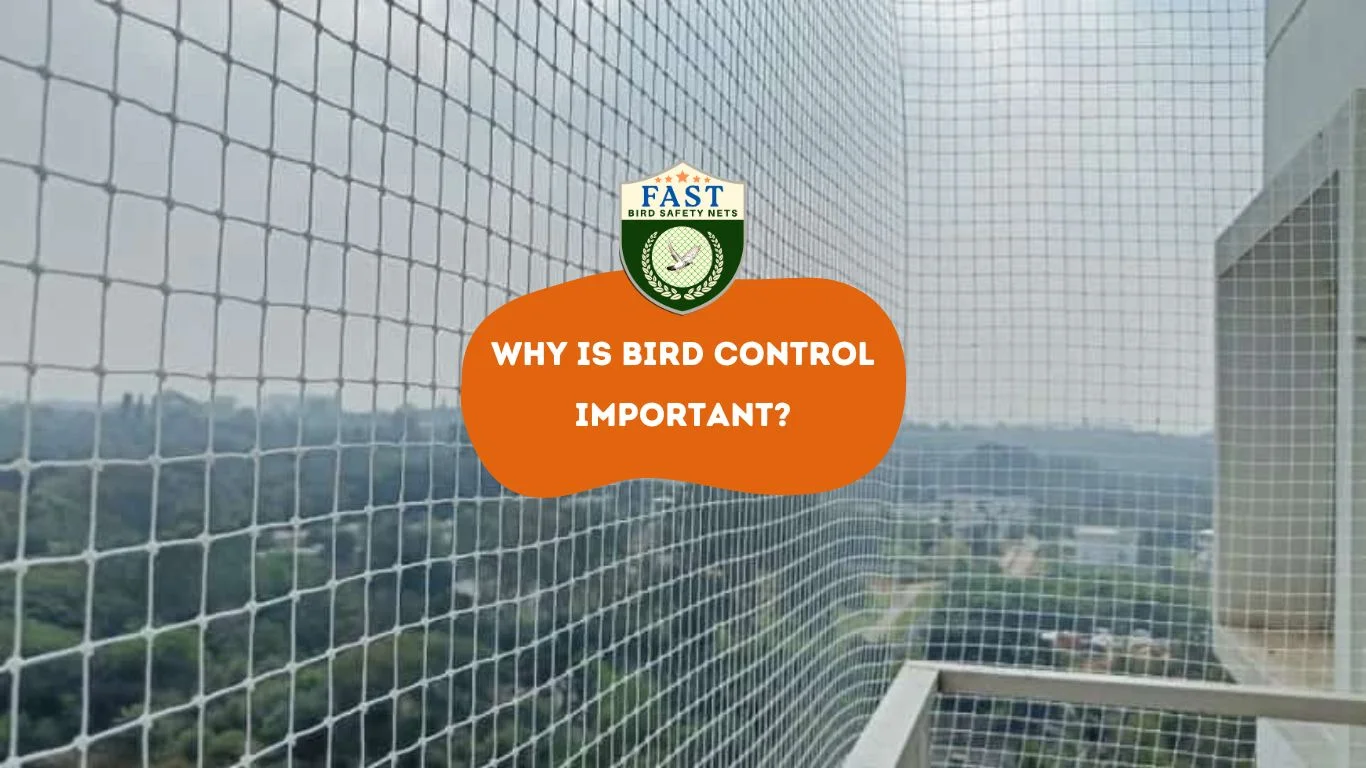 Why is bird control important? Fast Safety Nets Hyderabad 9363632161