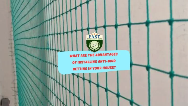 What are the advantages of installing anti-bird netting in your house?