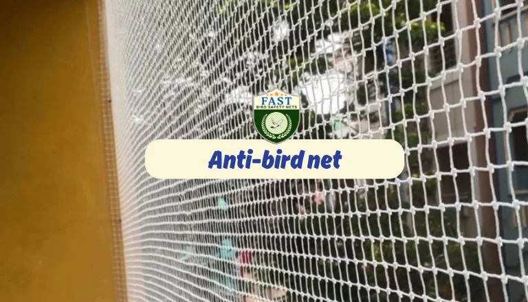 Anti bird net installation