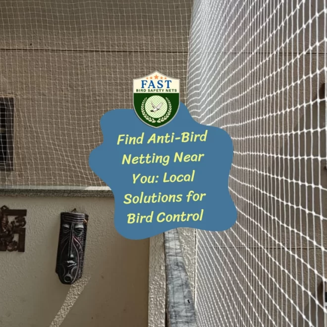 Find Anti-Bird Netting Near You: Local Solution for Bird Control