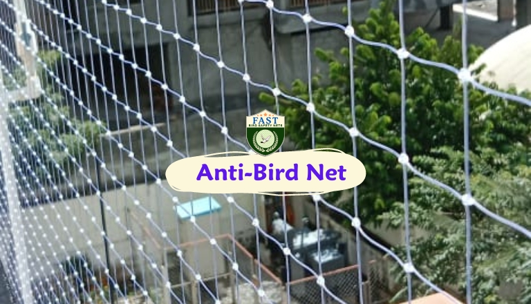 anti bird nets installation