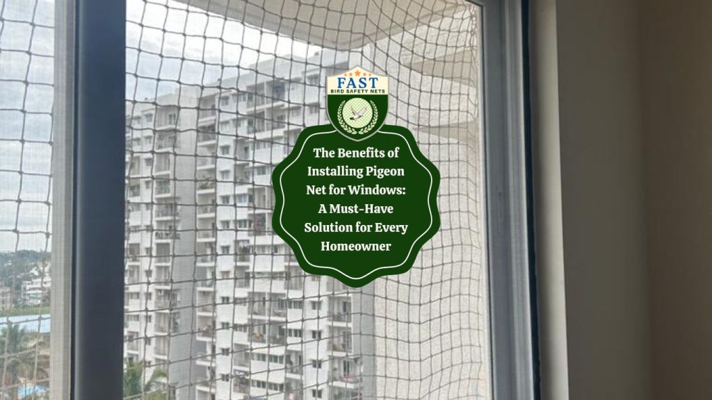 The Benefits of Installing Pigeon Net for Windows: A Must-Have Solution for Every Homeowner