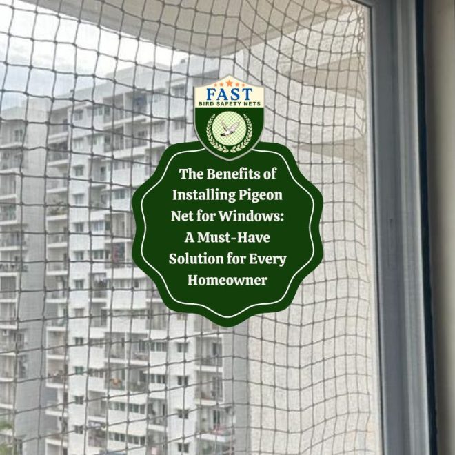 The Benefits of Installing Pigeon Net for Windows: A Must-Have Solution for Every Homeowner