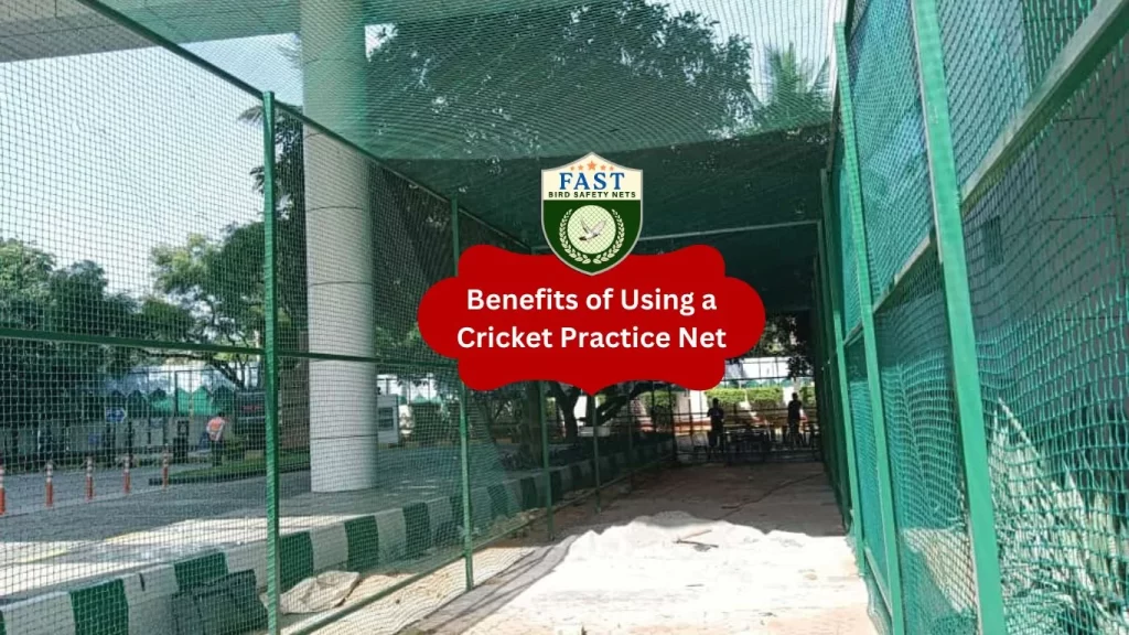 Benefits of Using a Cricket Practice Net