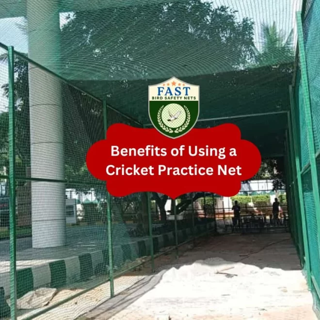 Benefits of Using a Cricket Practice Net