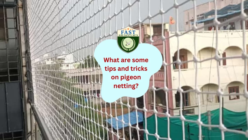 best pigeon netting service near me in hyderabad