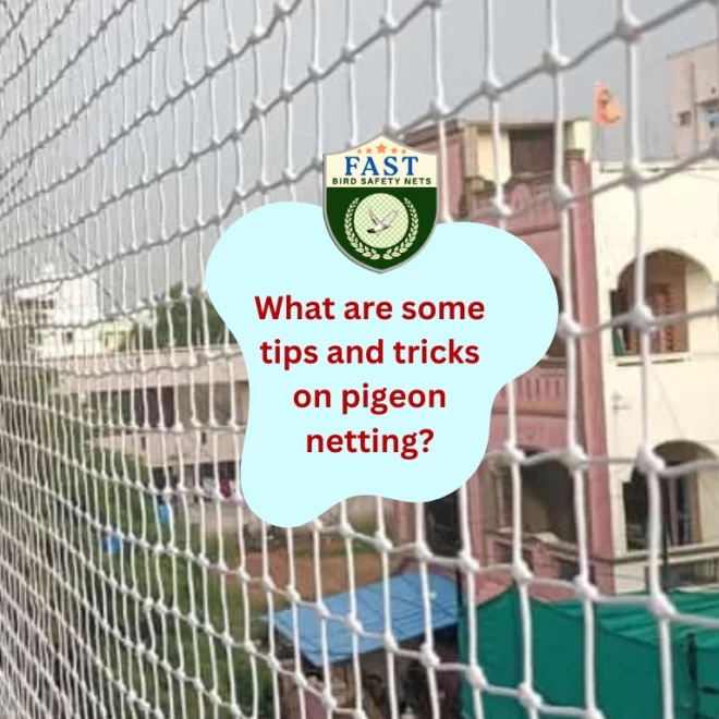 What are some tips and tricks on Pigeon Netting?