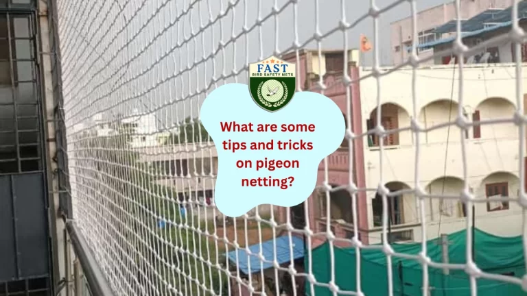 What are some tips and tricks on Pigeon Netting?