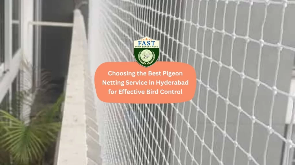 Choosing the Best Pigeon Netting Service in Hyderabad for Effective Bird Control