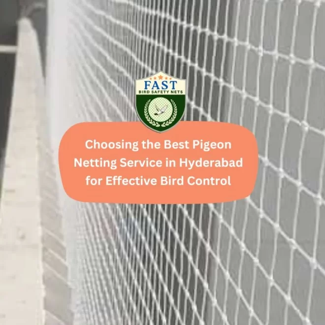 Choosing the Best Pigeon Netting Service in Hyderabad for Effective Bird Control
