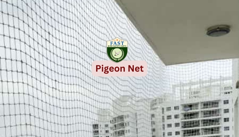 best pigeon nets near me