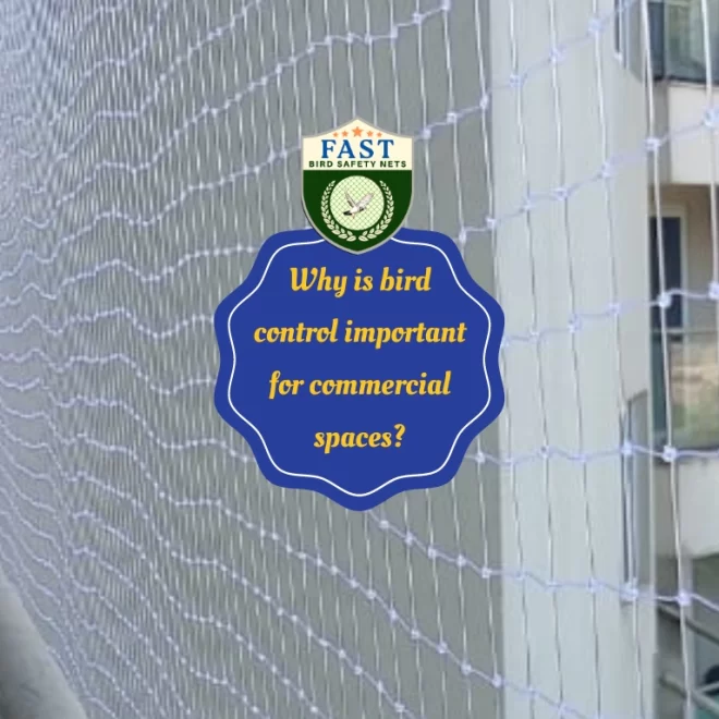 Why is bird control important for commercial spaces?
