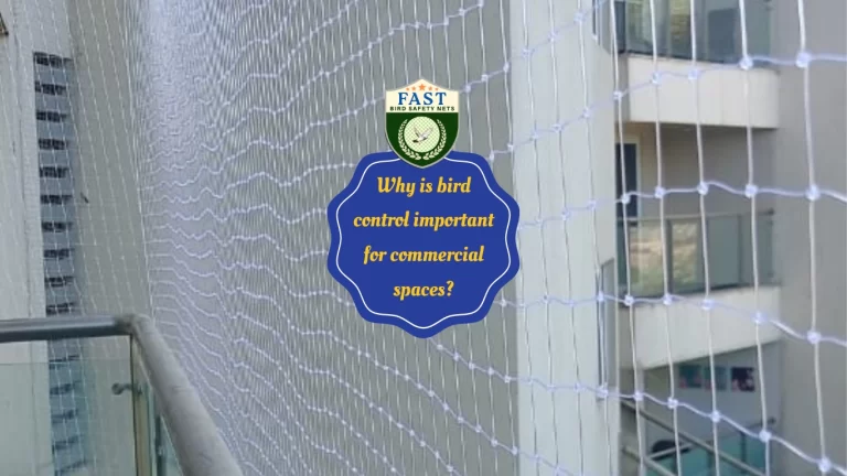 Why is bird control important for commercial spaces?