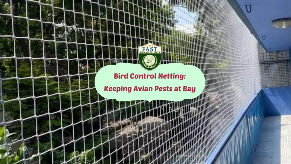 Benefits of Bird Control Netting