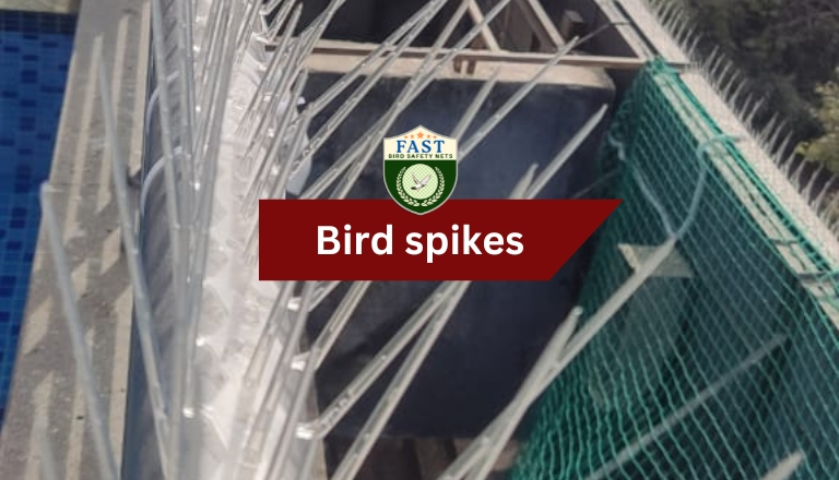 Bird Spikes Fitting