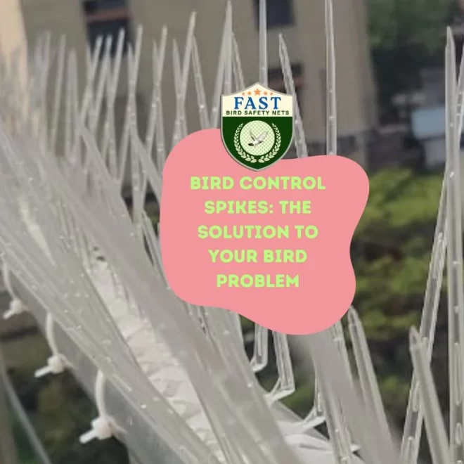 Bird Control Spikes: The Solution to Your Bird Problem