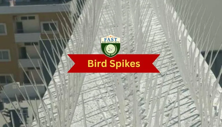 Bird Control Spikes