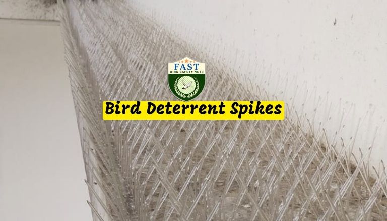 Bird Deterrent Spikes