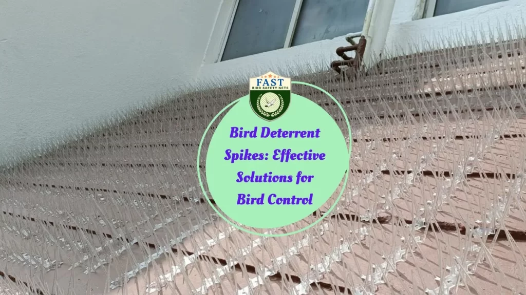 Bird Deterrent Spikes: Effective Solutions for Bird Control