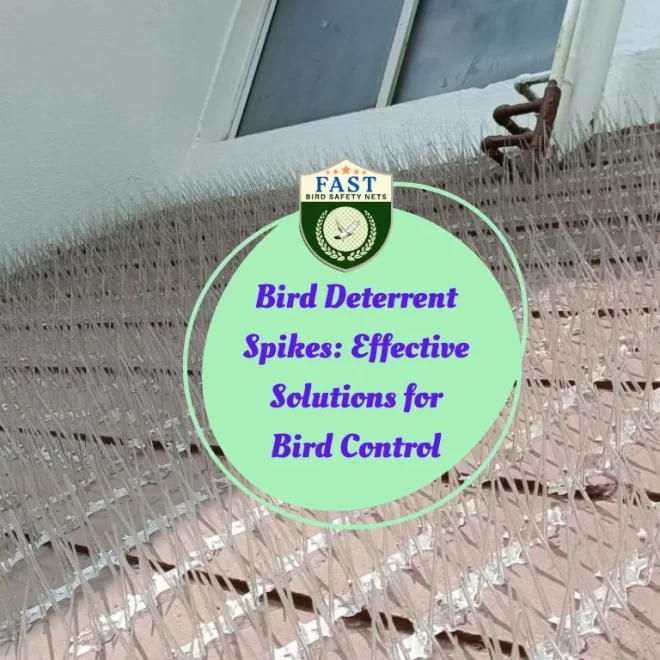 Bird Deterrent Spikes: Effective Solutions for Bird Control