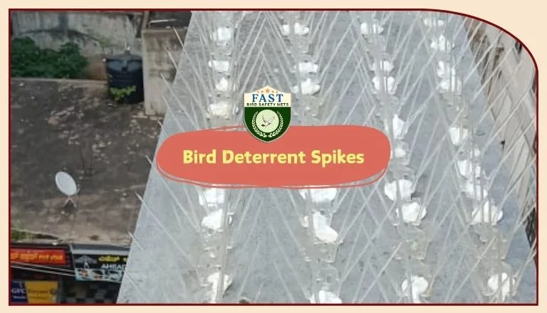 Bird Deterrent Spikes