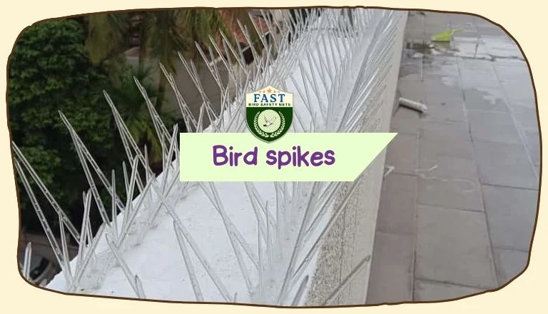 Bird Deterrent Spikes