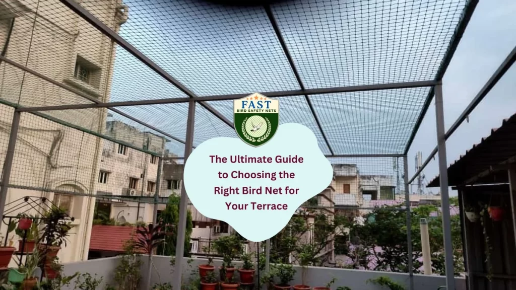 The Ultimate Guide to Choosing the Right Bird Net for Your Terrace