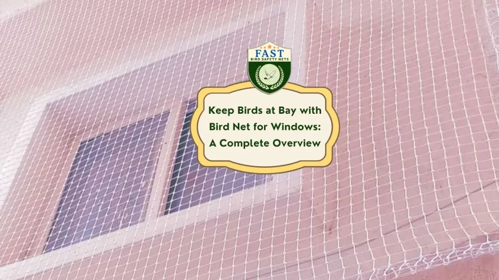 Keep Birds at Bay with Bird Net for Windows: A Complete Overview