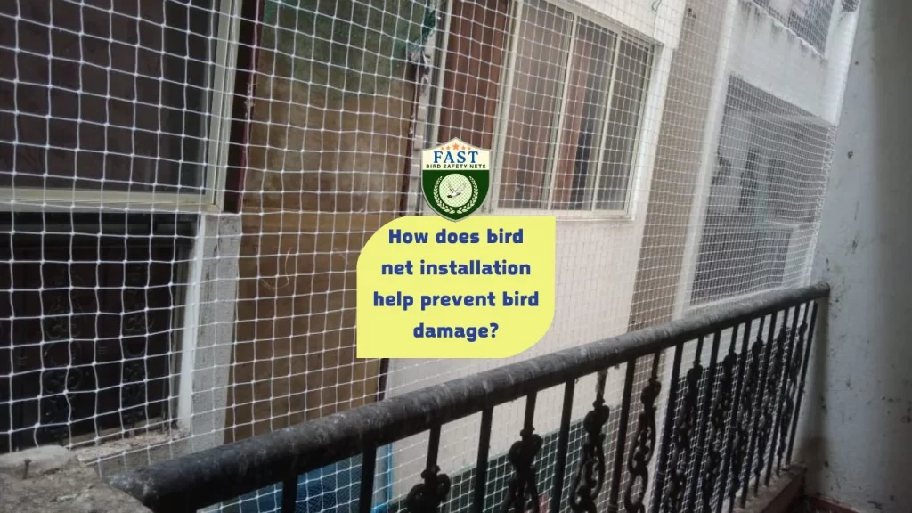 How does bird net installation help prevent bird damage?