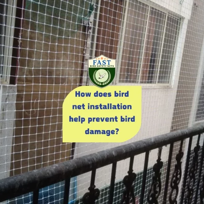 How does bird net installation help prevent bird damage?