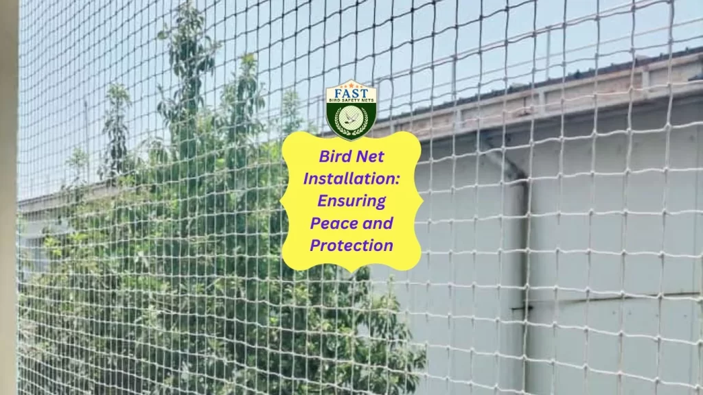 Bird Net Installation: Ensuring Peace and Protection