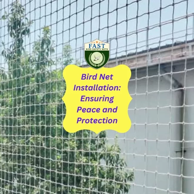 Bird Net Installation: Ensuring Peace and Protection