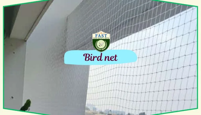 Bird Net Installation