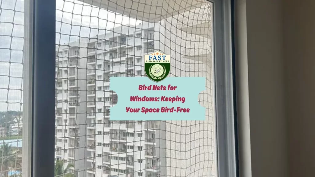 Bird Nets for Windows: Keeping Your Space Bird-Free