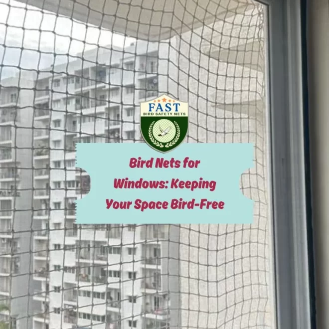 Bird Nets for Window: Keeping Your Space Bird-Free