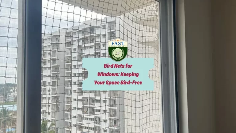 Bird Nets for Window: Keeping Your Space Bird-Free