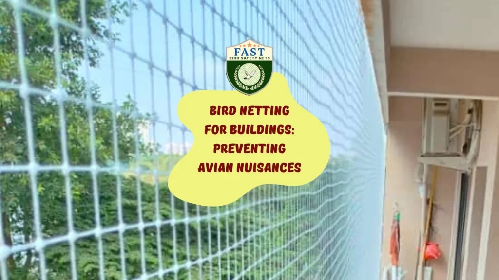 Bird Netting for Buildings: Preventing Avian Nuisances