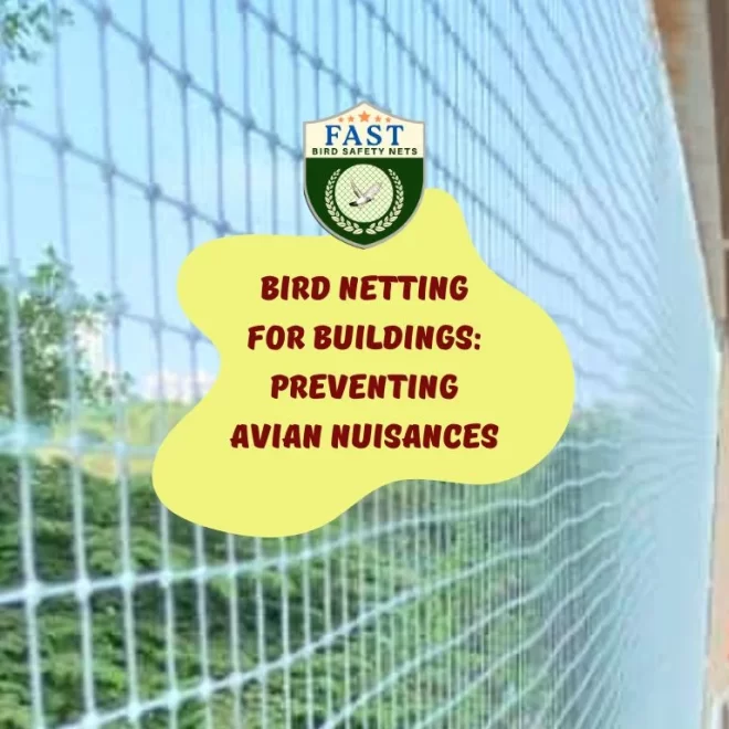 Bird Netting for Buildings: Preventing Avian Nuisances