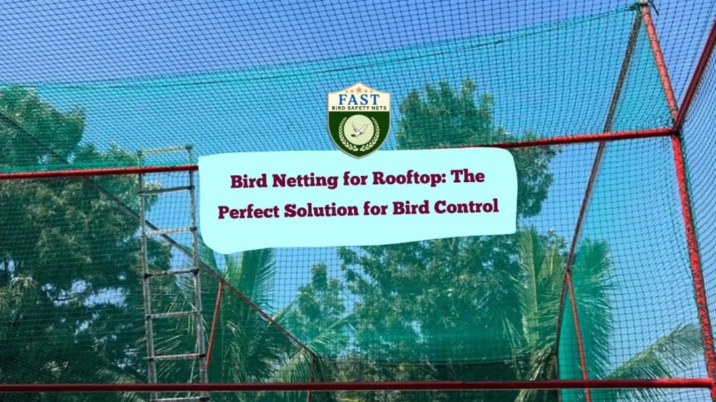 Bird Netting for Rooftop: The Perfect Solution for Bird Control