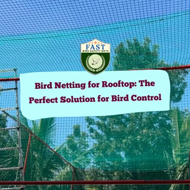 Bird Netting for Rooftop: The Perfect Solution for Bird Control