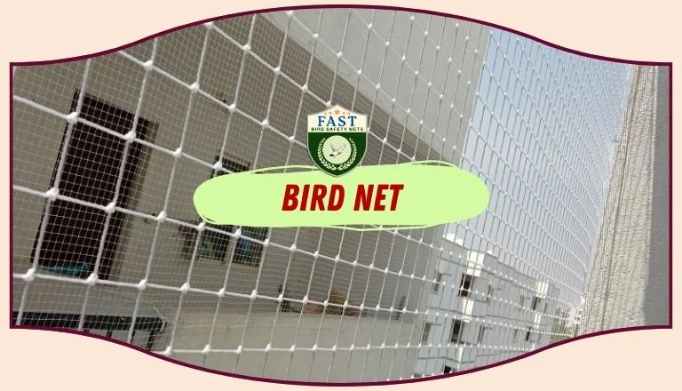 Bird Netting Hyderabad