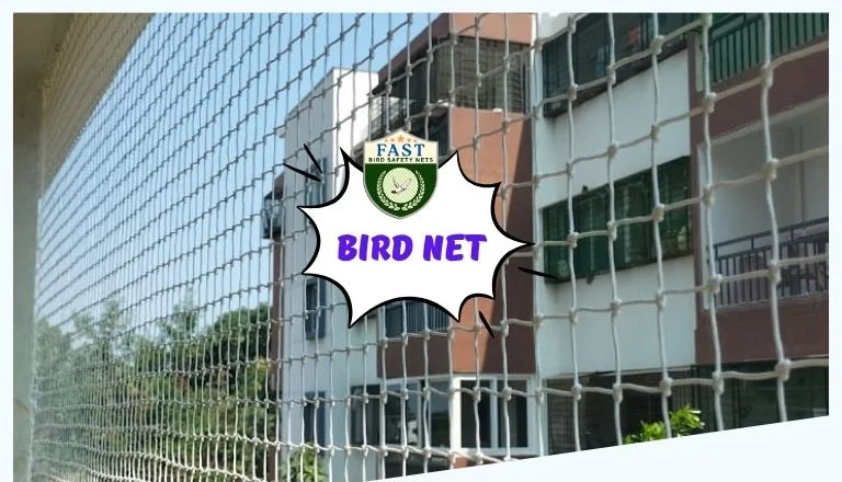 Bird Netting Near Me