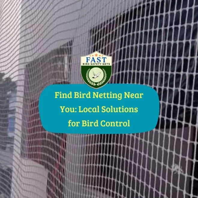 Find Bird Netting Near You: Local Solutions for Bird Control