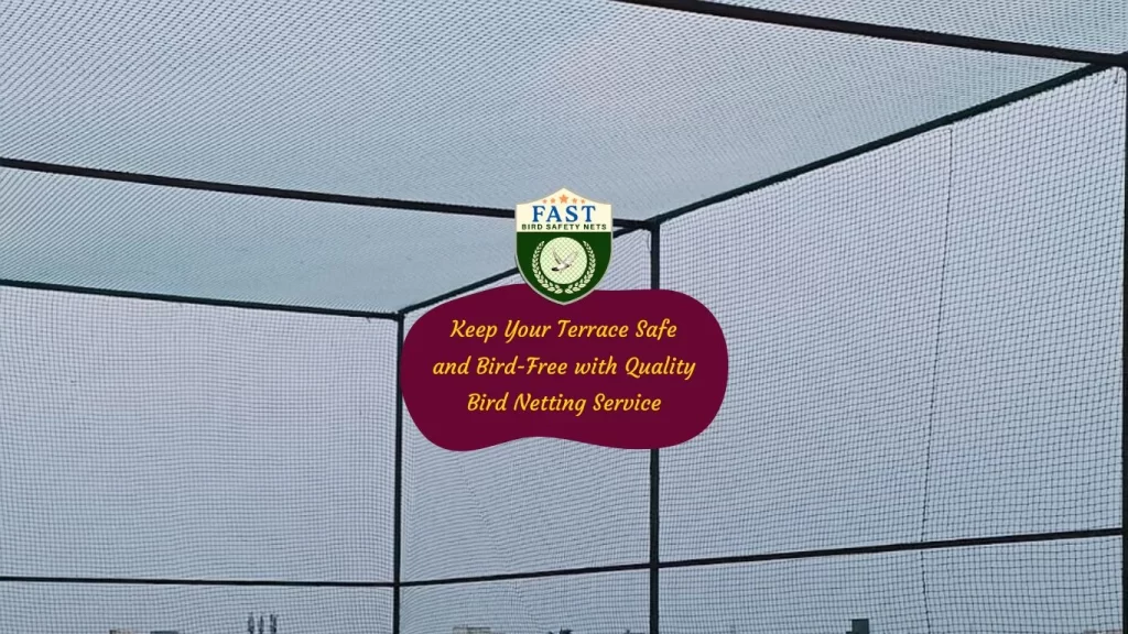 Keep Your Terrace Safe and Bird-Free with Quality Bird Netting Service