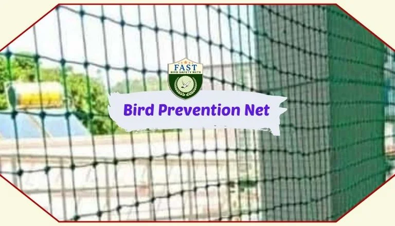 bird prevention nets