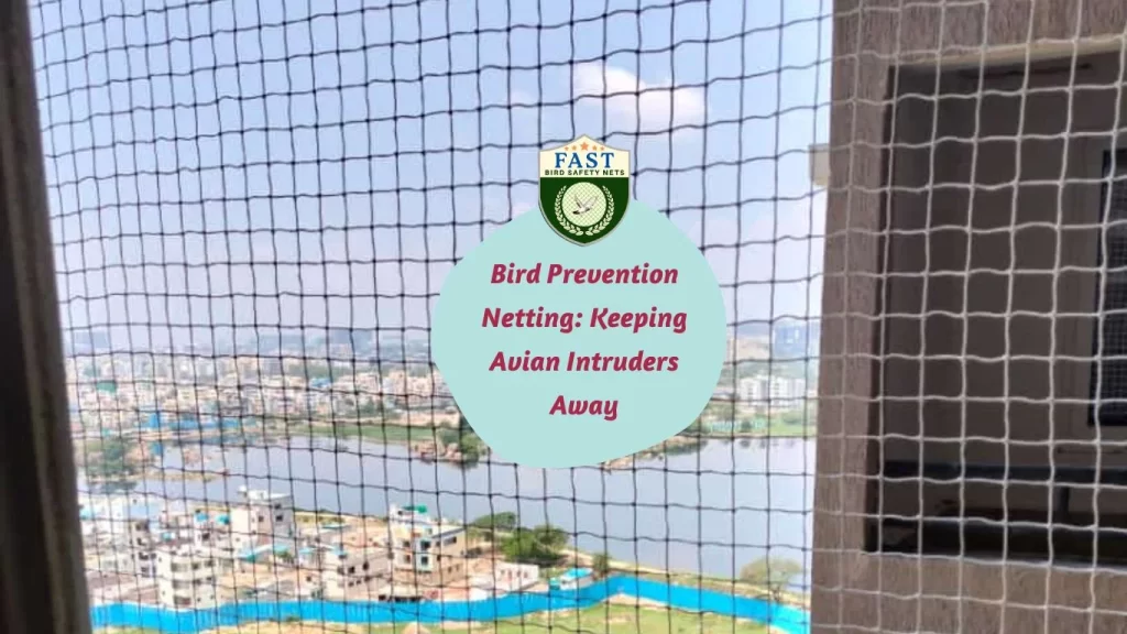 Bird Prevention Netting: Keeping Avian Intruders Away