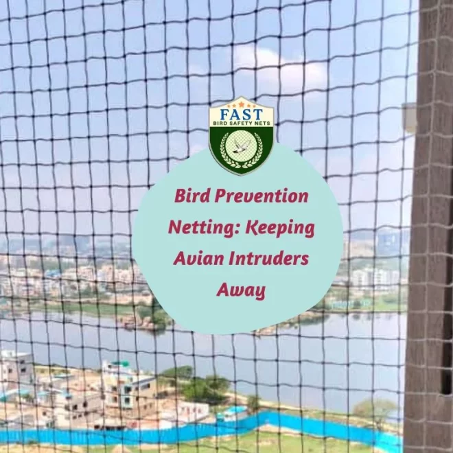 Bird Prevention Netting: Keeping Avian Intruders Away