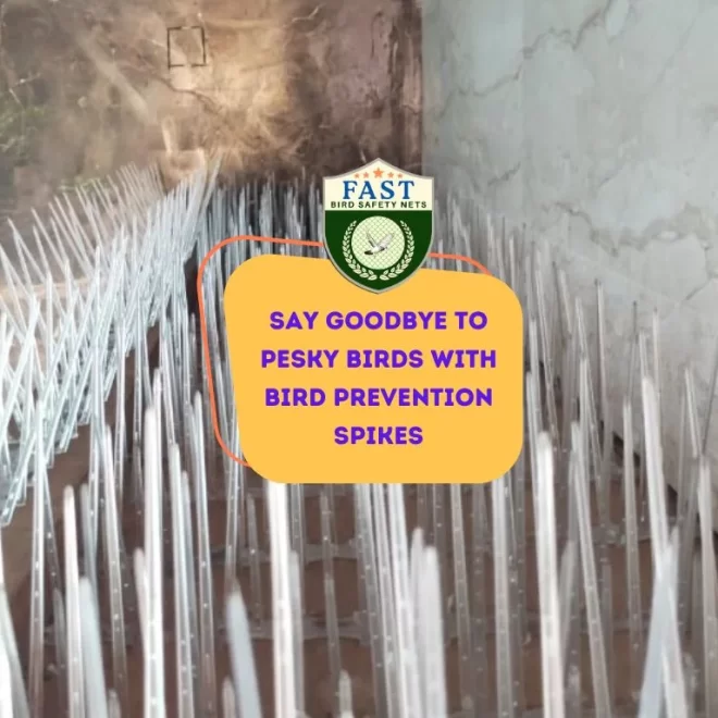 Say Goodbye to Pesky Birds with Bird Prevention Spikes